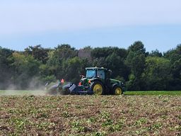 Cole digging peanuts